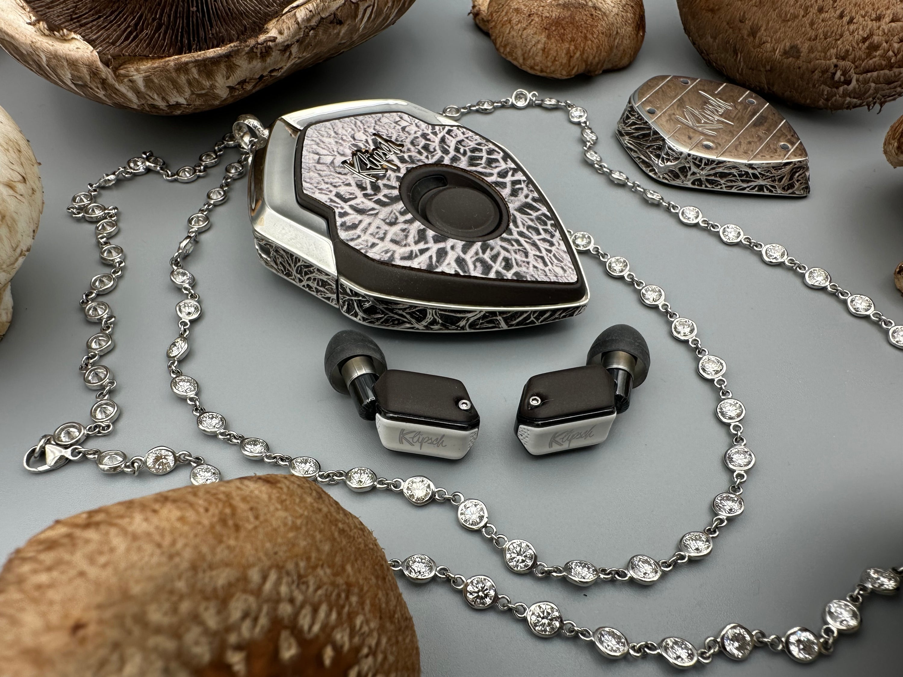 Mushroom Dreams x Made with Reishi™