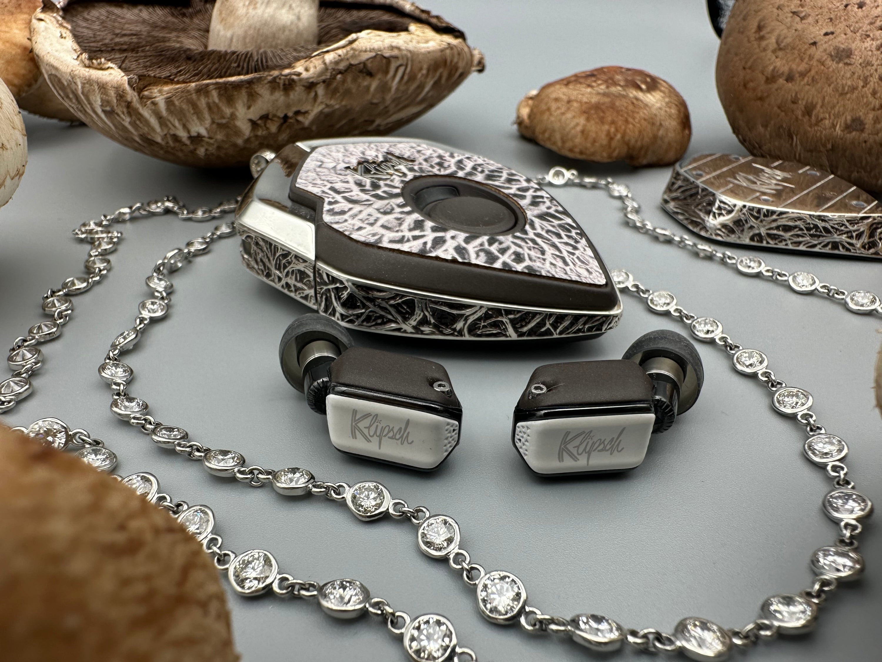 Mushroom Dreams x Made with Reishi™