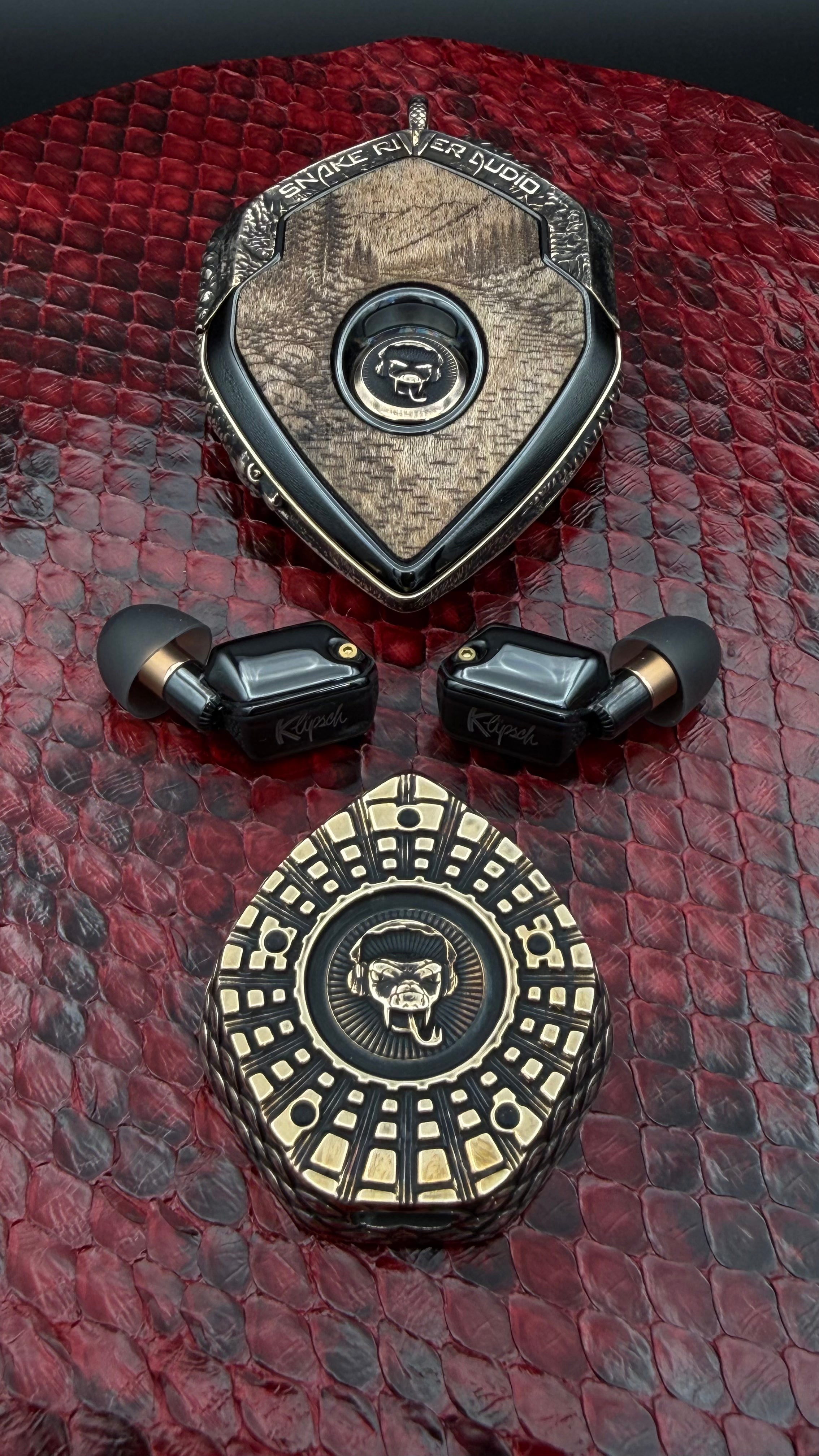 Snake River Audio commission: a T10 Bespoke charger and ear computers made for Snake River Audio