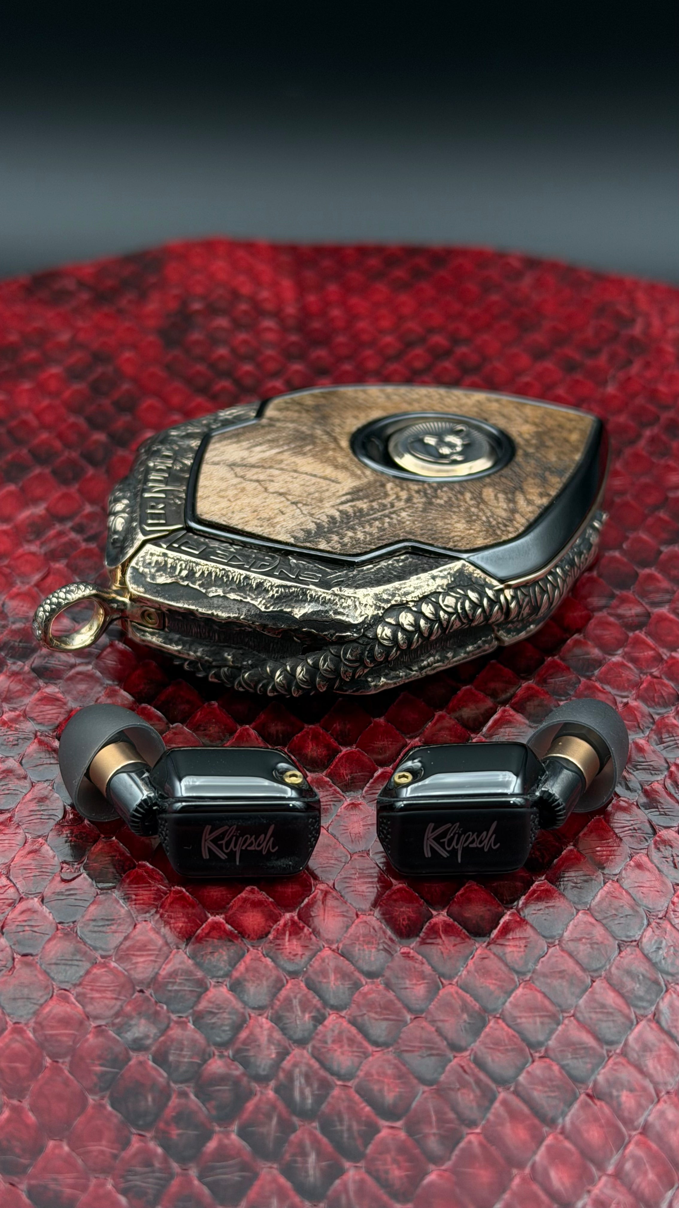Snake River Audio commission: charger doors and frame sculpted to echo Hells Canyon, with a snake across the center